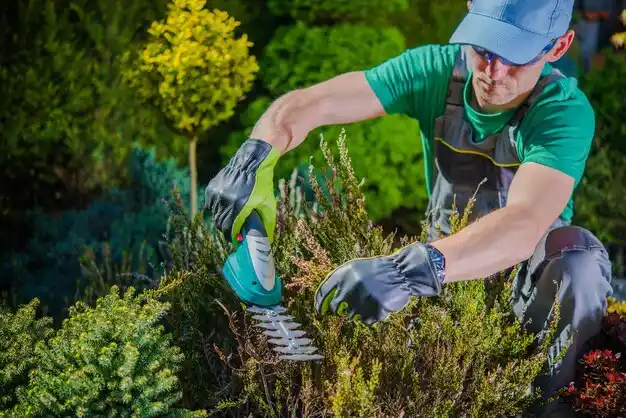 landscaping services Brownsville